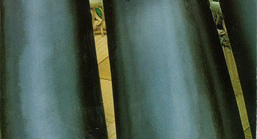 Popis odrůdy lilku lya muromets, jeho vlastnosti a výnos